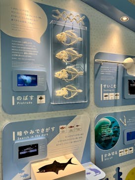 葛西臨海水族園に投稿された画像（2025/9/30）