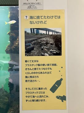 葛西臨海水族園に投稿された画像（2025/9/30）