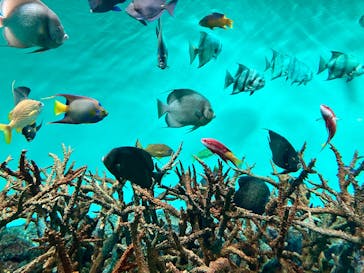 葛西臨海水族園に投稿された画像（2025/9/30）