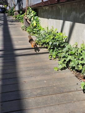 那須どうぶつ王国に投稿された画像（2025/9/30）