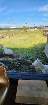 熊谷天然温泉　花湯スパリゾートに投稿された画像（2025/9/30）