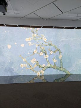 ゴッホ展　家族がつないだ画家の夢（東京都美術館）に投稿された画像（2025/9/30）