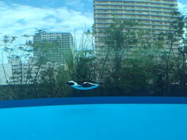 サンシャイン水族館に投稿された画像（2025/9/30）