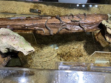 NIFREL（ニフレル）に投稿された画像（2025/9/30）