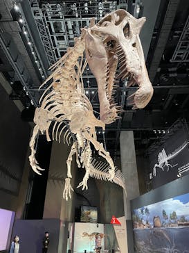 福井県立恐竜博物館に投稿された画像（2025/9/30）
