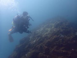 スターダイブ インターナショナルに投稿された画像（2025/9/30）