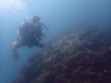 スターダイブ インターナショナルに投稿された画像（2025/9/30）