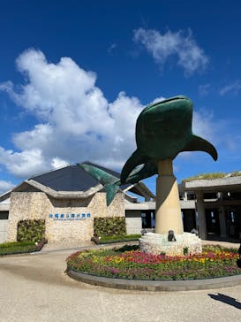 沖縄美ら海水族館に投稿された画像（2025/9/30）