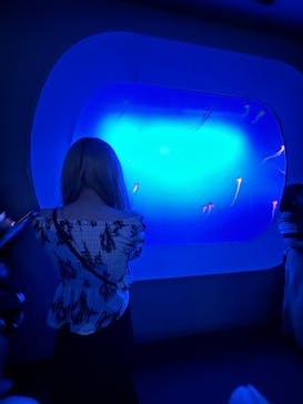 新江ノ島水族館に投稿された画像（2025/9/30）