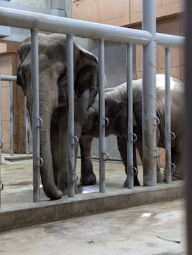 名古屋市東山動植物園に投稿された画像（2025/9/30）