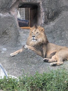 名古屋市東山動植物園に投稿された画像（2025/9/30）