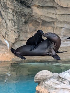 名古屋市東山動植物園に投稿された画像（2025/9/30）