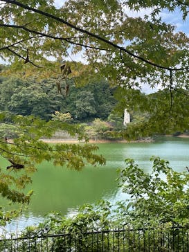 ムーミンバレーパークに投稿された画像（2025/9/30）