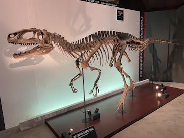 福井県立恐竜博物館に投稿された画像（2025/9/30）