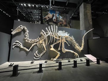 福井県立恐竜博物館に投稿された画像（2025/9/30）