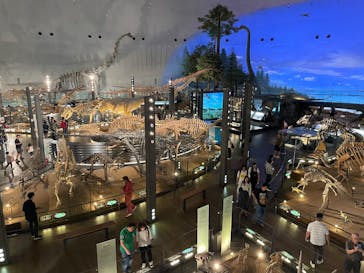 福井県立恐竜博物館に投稿された画像（2025/9/30）