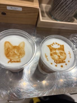 Cat Café MOFF つかしん店に投稿された画像（2025/9/30）