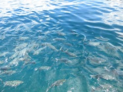 ジャンボツアーズに投稿された画像（2025/9/30）