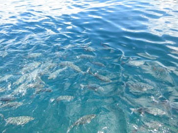 ジャンボツアーズに投稿された画像（2025/9/30）