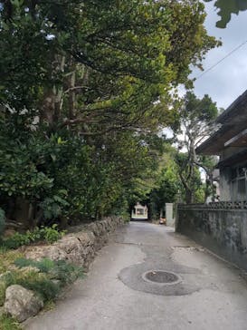 ジャンボツアーズに投稿された画像（2025/9/30）