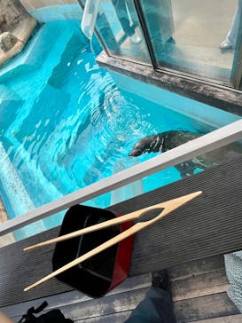 マリンワールド海の中道に投稿された画像（2025/9/30）