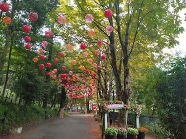 ムーミンバレーパークに投稿された画像（2025/10/1）