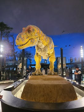 福井県立恐竜博物館に投稿された画像（2025/10/1）