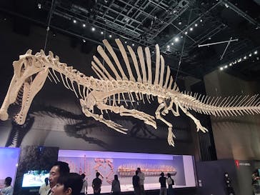 福井県立恐竜博物館に投稿された画像（2025/10/1）