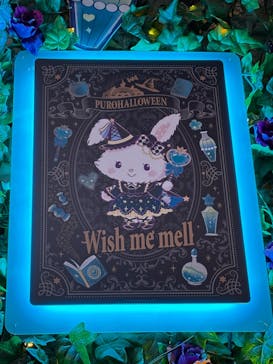 サンリオピューロランドに投稿された画像（2025/10/1）