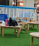 キッズランドUS 兵庫伊丹店に投稿された画像（2025/10/1）