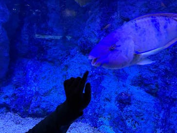 すみだ水族館に投稿された画像（2025/10/1）