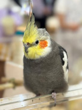 いきもの探検隊上尾に投稿された画像（2025/10/1）