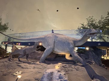 福井県立恐竜博物館に投稿された画像（2025/10/1）
