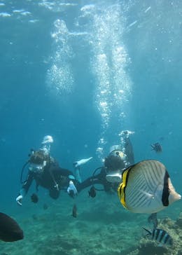 武藤潜水に投稿された画像（2025/10/1）