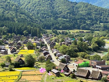 ホワイトリングに投稿された画像（2025/10/1）