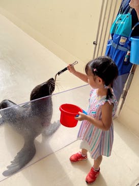新江ノ島水族館に投稿された画像（2025/10/1）