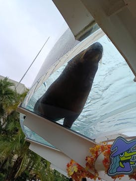 サンシャイン水族館に投稿された画像（2025/10/1）