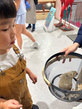 アニタッチアクアシティお台場に投稿された画像（2025/10/1）