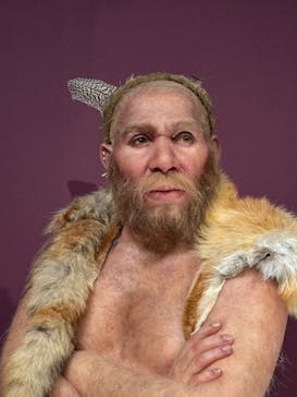 特別展「氷河期展 〜人類が見た4万年前の世界〜」（国立科学博物館）に投稿された画像（2025/10/1）