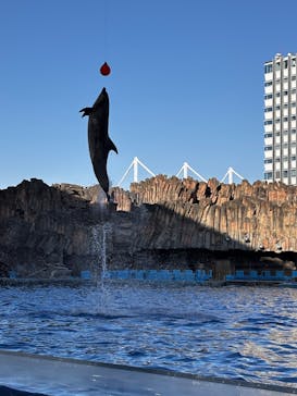 名古屋港水族館に投稿された画像（2025/10/1）