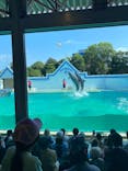 しながわ水族館に投稿された画像（2025/10/1）