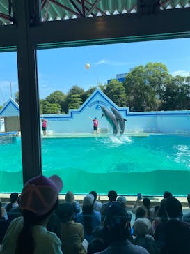 しながわ水族館に投稿された画像（2025/10/1）