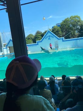しながわ水族館に投稿された画像（2025/10/1）