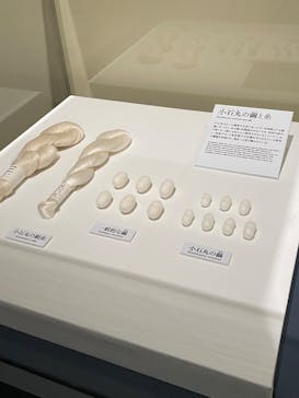 正倉院 THE SHOW ―感じる。いま、ここにある奇跡―　@上野の森美術館に投稿された画像（2025/10/1）