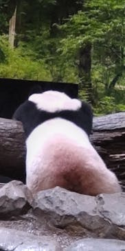 恩賜上野動物園に投稿された画像（2025/10/1）