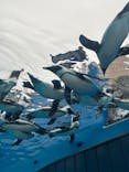 サンシャイン水族館に投稿された画像（2025/10/1）