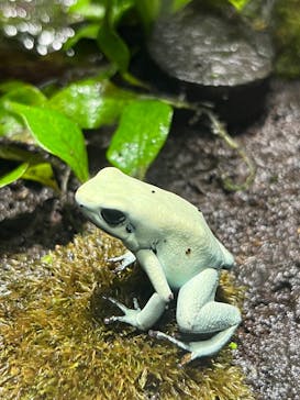 サンシャイン水族館に投稿された画像（2025/10/1）