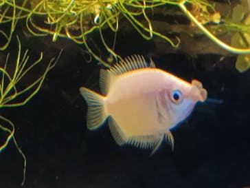 カワスイ 川崎⽔族館に投稿された画像（2025/10/1）