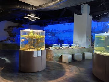 カワスイ 川崎⽔族館に投稿された画像（2025/10/1）