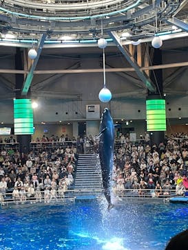 マクセル アクアパーク品川に投稿された画像（2025/10/1）